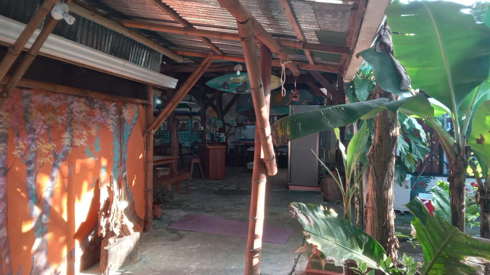 Osa Surf House Hotel Puerto Jiménez Екстериор снимка